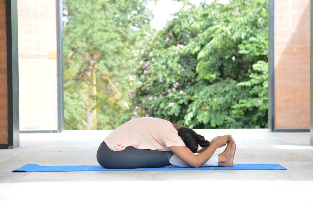 Yoga Paschimottanasana - a girl sitting with stretched legs and touching heals with the hands as in (Seated Forward Bend pose)