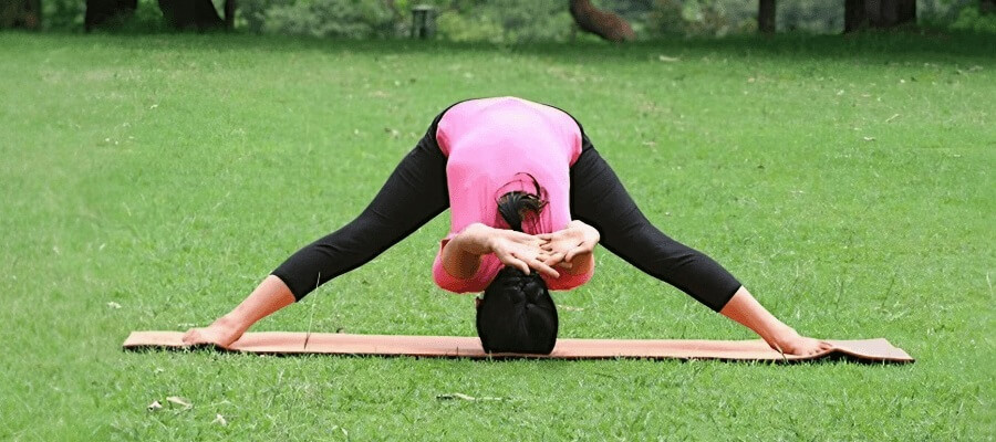 Prasarita Padahastasana