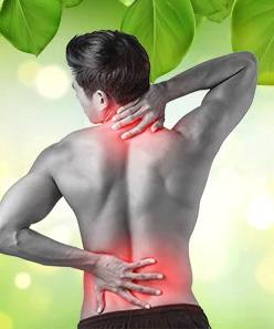 Ayurveda for back pain relief