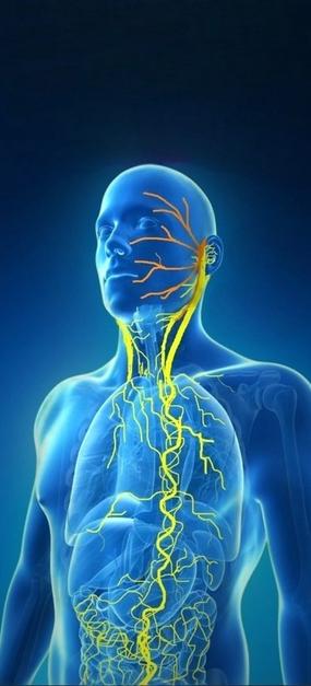 ways to stimulate vagus nerve sudarshan kriyaa