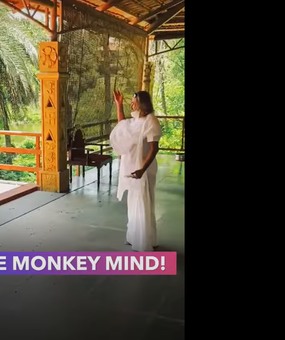 The Monkey Mind Shorts