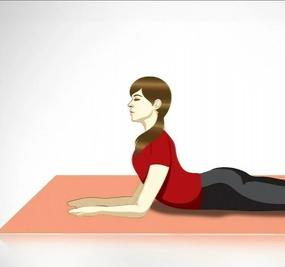 Salamba bhujangasana sphinx pose yoga