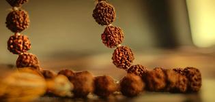 significance of rudraksha