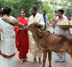 ayudh puja